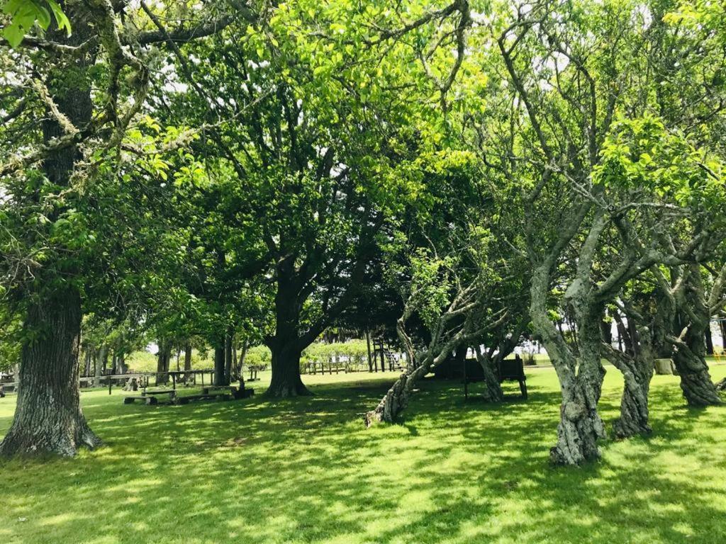 Complejo Turístico Flores Trinidad Exterior foto